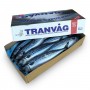 Скумбрія атлантична з/г с/м 600+ Tranvag (Норвегія) 10 кг Скумбрія атлантична з/г с/м 600+ Tranvag (Норвегія) 10 кг