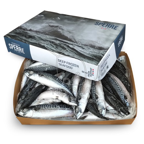 Скумбрія атлантична з/г с/м 400-600 Brodrene Sperre (Норвегія) Скумбрія атлантична з/г с/м 400-600 Brodrene Sperre (Норвегія)