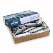 Скумбрія атлантична з/г с/м 600+ Brodrene Sperre (Норвегія) 20 кг