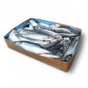 Оселедець з/г с/м 350+ Westcoast (Норвегія) (20 кг) 