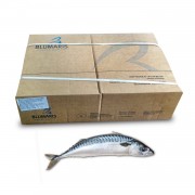 Скумбрія атлантична з/г с/м 400-600 Blumaris (Ісландія)
