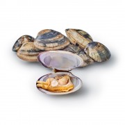 Вонголе 90-120, с/м Premier Seafarmers by Nature (Нидерланды) 1 кг Вонголе 90-120, с/м Premier Seafarmers by Nature (Нидерланды) 1 кг