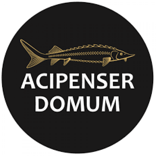 Acipenser Domum️ Acipenser Domum️