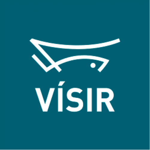 Visir hf Visir hf