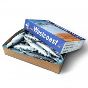 Скумбрія атлантична з/г с/м 400-600 Westcoast (Норвегія)