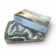 Сайда з/г с/м 500+ Fosnavaag Pelagic (Норвегія) (20 кг) Сайда з/г с/м 500+ Fosnavaag Pelagic (Норвегія) (20 кг)