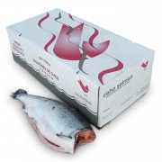Кижуч б/г с/м 2,7-4,0 Salmones de Chile (Чилі)
