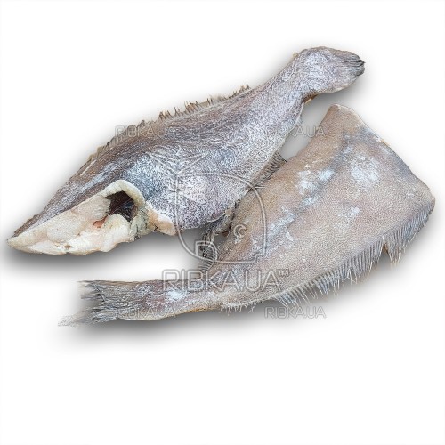Палтус черный (синекорый), тушка с/м 1-2 кг Палтус черный (синекорый), тушка с/м 1-2 кг