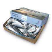 Оселедець з/г с/м 370+ Fosnavaag Pelagic (Норвегія) (20 кг) 