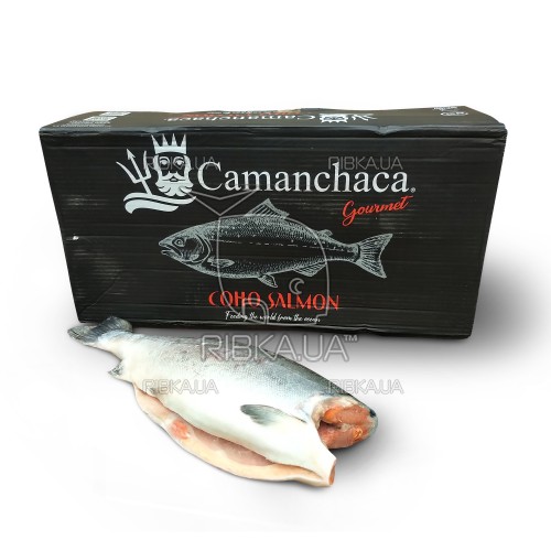 Кижуч б/г с/м 2,7-4,1 Camanchaca (Чілі) (25 кг) Кижуч б/г с/м 2,7-4,1 Camanchaca (Чілі) (25 кг)