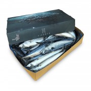 Скумбрія атлантична з/г с/м 400-600 Vikomar  (Норвегія)