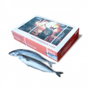 Скумбрія атлантична с/м з/г 400-600 Shetland Catch (Велика Британія)
