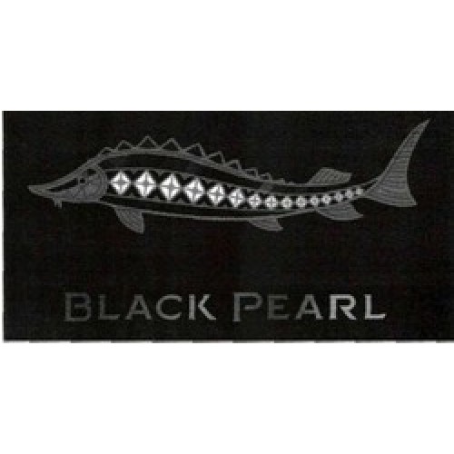 Black Pearl Black Pearl