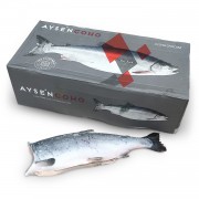 Кижуч б/г с/м 2,7-4,1 AysenCoho (Чилі)