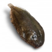 Камбала Доверсоль «Doversole», морской язык с/г, с/м 700-800