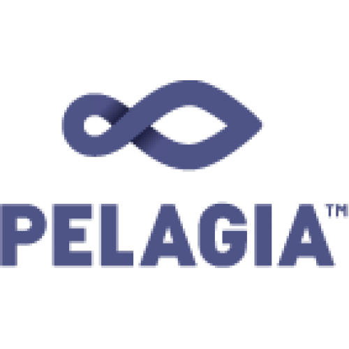 Pelagia Pelagia