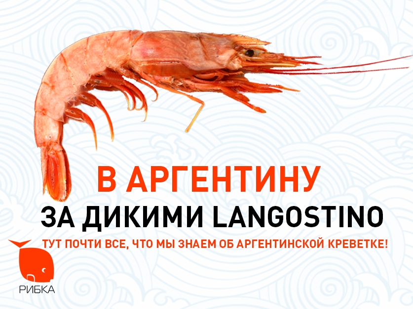 Что скрывает аргентинская креветка