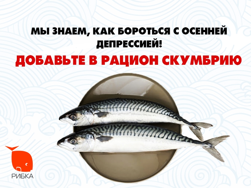 Привіт, скумбрія!