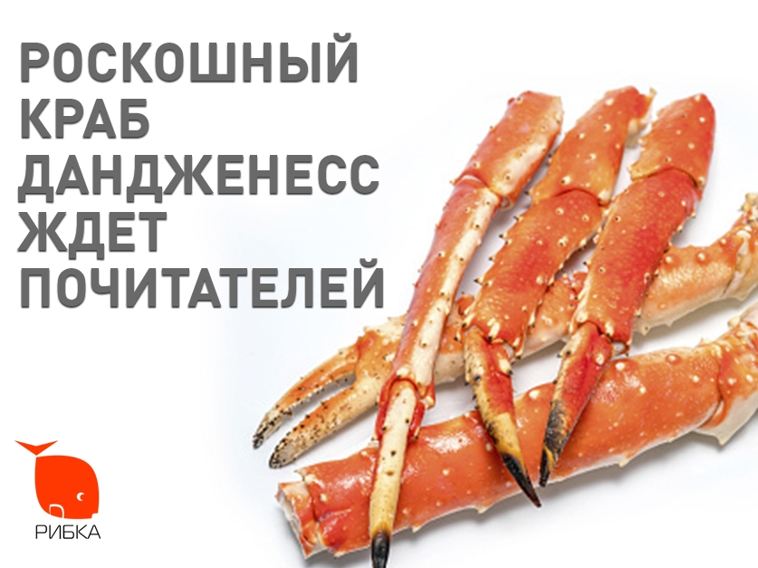 Розкішний краб Дандженесс чекає шанувальників