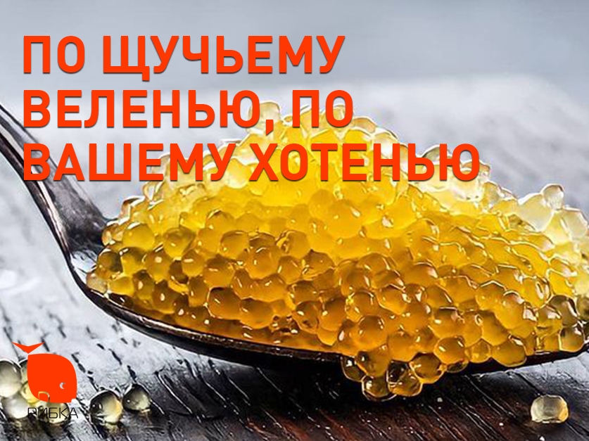 За щучим велінням, за Вашим хотінням