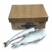 Нельма (Білорибиця) б/г з/х с/м Freshwater Fish (Канада) 27,2 кг