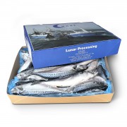 Скумбрія атлантична з/г с/м 400-600 Lunar (Велика Британія) Скумбрія атлантична з/г с/м 400-600 Lunar (Велика Британія)
