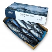 Скумбрія атлантична з/г с/м 600+ Brodrene Sperre (Норвегія) 10 кг