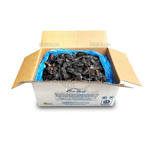 Мідії в мушлі в/м 50-70 Blue Shell (Чилі) (10 кг) Мідії в мушлі в/м 50-70 Blue Shell (Чилі) (10 кг)