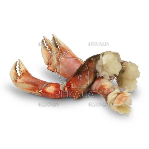 Краб кліешні Дандженесс (Dungeness crab) в/м Краб кліешні Дандженесс (Dungeness crab) в/м