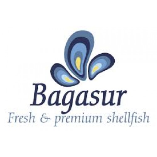 Bagasur