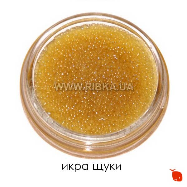 икра щуки